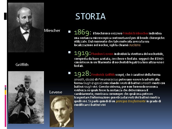 STORIA Miescher 1869: il biochimico svizzero Friedrich Miescher individua una sostanza microscopica contenuta nel STORIA Miescher 1869: il biochimico svizzero Friedrich Miescher individua una sostanza microscopica contenuta nel