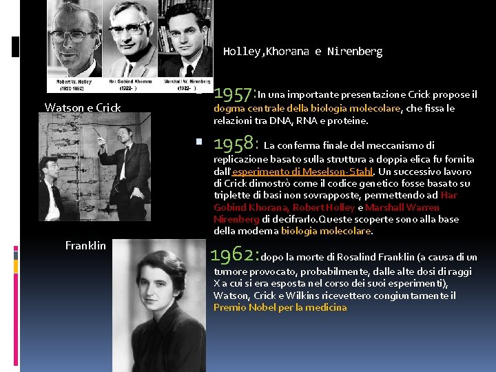 Holley, Khorana e Nirenberg Watson e Crick 1957: In una importante presentazione Crick propose Holley, Khorana e Nirenberg Watson e Crick 1957: In una importante presentazione Crick propose