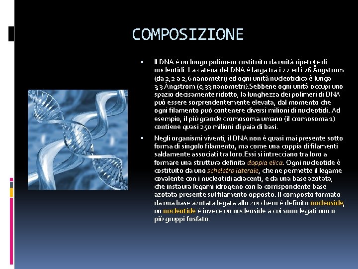 COMPOSIZIONE Il DNA è un lungo polimero costituito da unità ripetute di nucleotidi. La COMPOSIZIONE Il DNA è un lungo polimero costituito da unità ripetute di nucleotidi. La