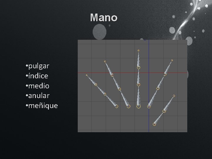 Mano • pulgar • índice • medio • anular • meñique 