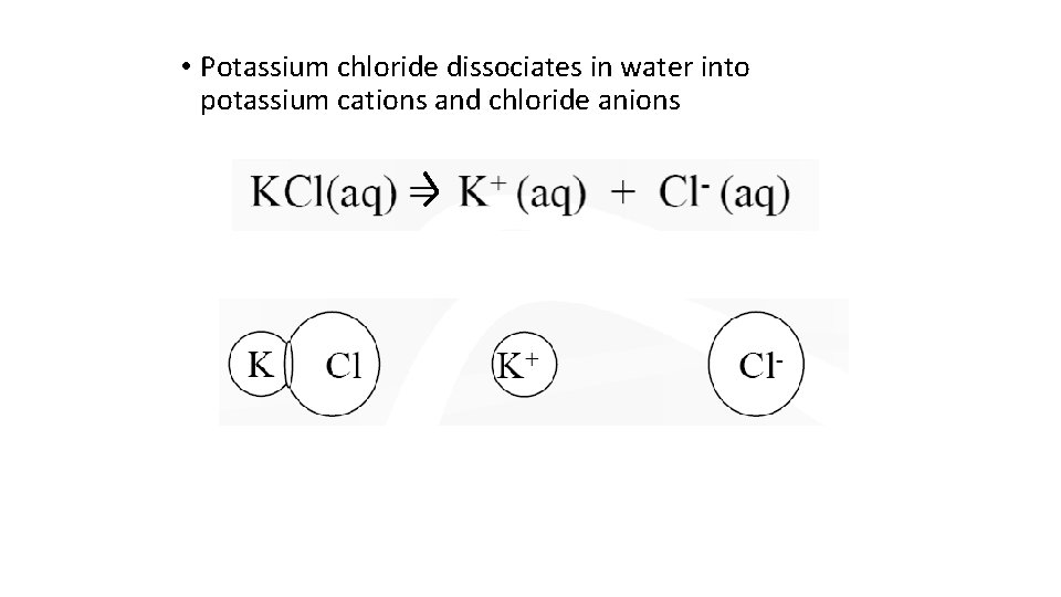 • Potassium chloride dissociates in water into potassium cations and chloride anions • Potassium chloride dissociates in water into potassium cations and chloride anions