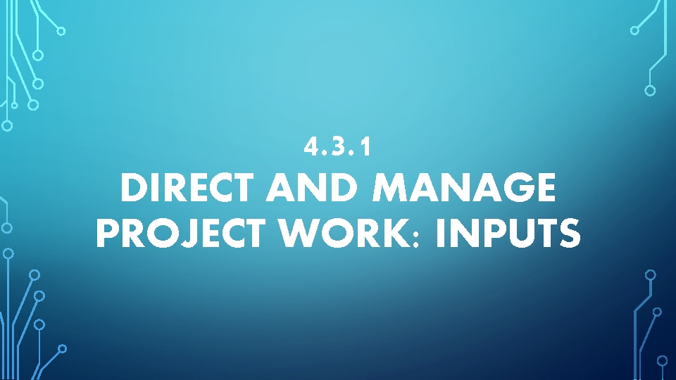 4. 3. 1 DIRECT AND MANAGE PROJECT WORK: INPUTS 