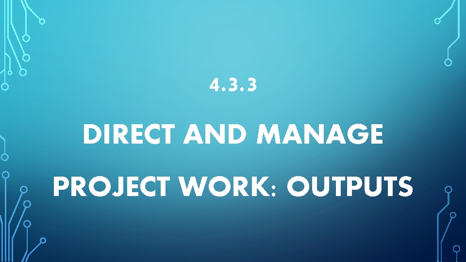 4. 3. 3 DIRECT AND MANAGE PROJECT WORK: OUTPUTS 