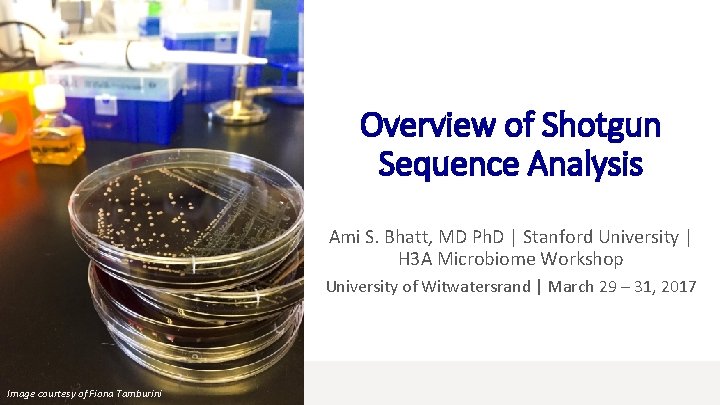 Overview of Shotgun Sequence Analysis Ami S. Bhatt, MD Ph. D | Stanford University