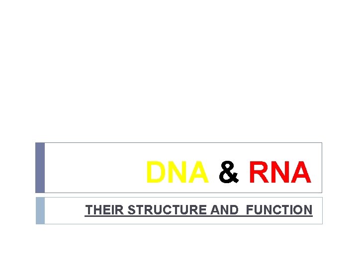 DNA & RNA THEIR STRUCTURE AND FUNCTION 