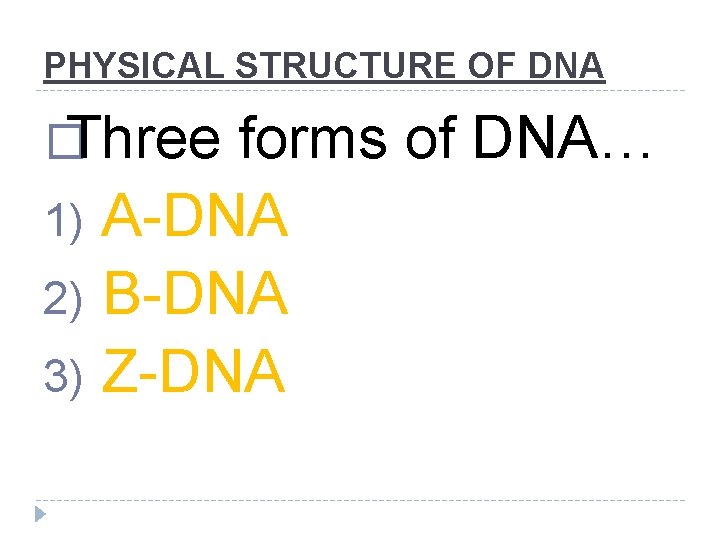 PHYSICAL STRUCTURE OF DNA � Three forms of DNA… A-DNA 2) B-DNA 3) Z-DNA