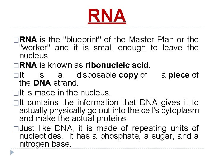 RNA �RNA is the "blueprint" of the Master Plan or the "worker" and it