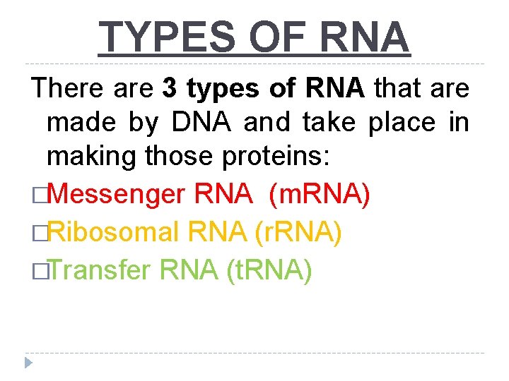TYPES OF RNA There are 3 types of RNA that are made by DNA