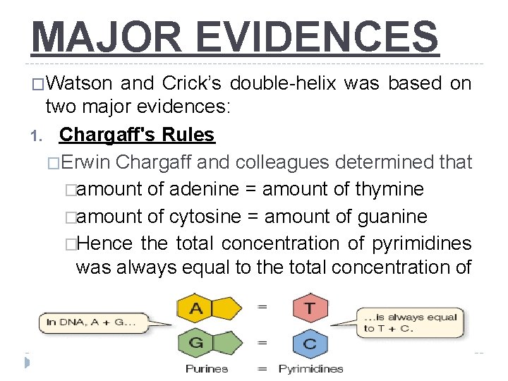 MAJOR EVIDENCES �Watson and Crick’s double-helix was based on two major evidences: 1. Chargaff's