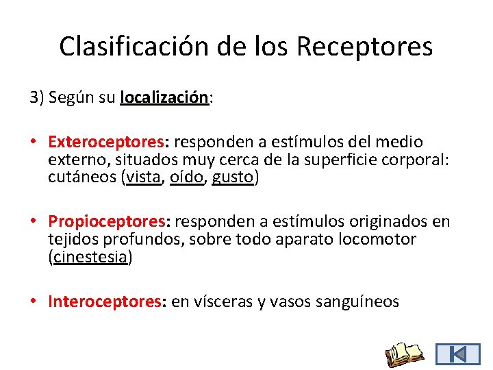 Clasificación de los Receptores 3) Según su localización: localización • Exteroceptores: responden a estímulos