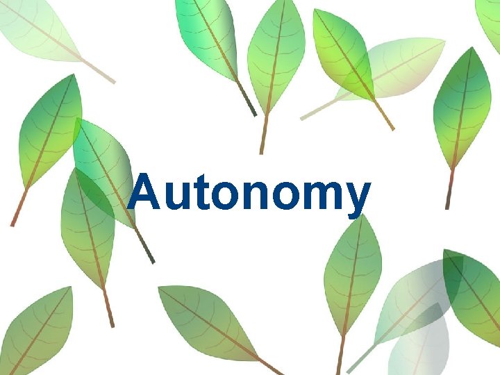 Autonomy 