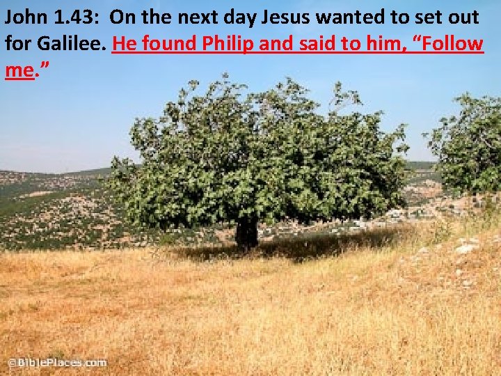 John 1. 43: On the next day Jesus wanted to set out for Galilee.