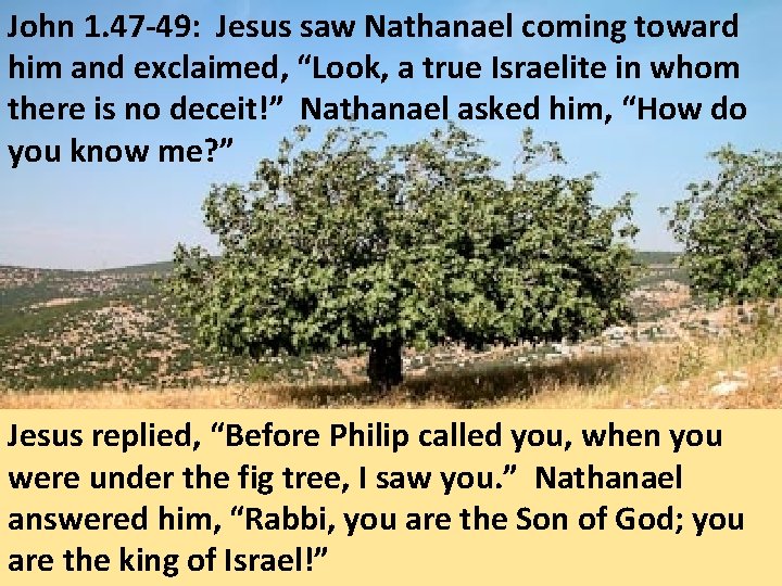 John 1. 47 -49: Jesus saw Nathanael coming toward him and exclaimed, “Look, a