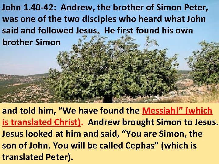 John 1. 40 -42: Andrew, the brother of Simon Peter, was one of the