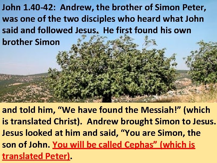 John 1. 40 -42: Andrew, the brother of Simon Peter, was one of the