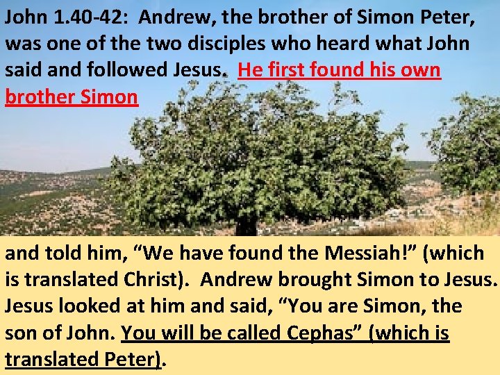 John 1. 40 -42: Andrew, the brother of Simon Peter, was one of the