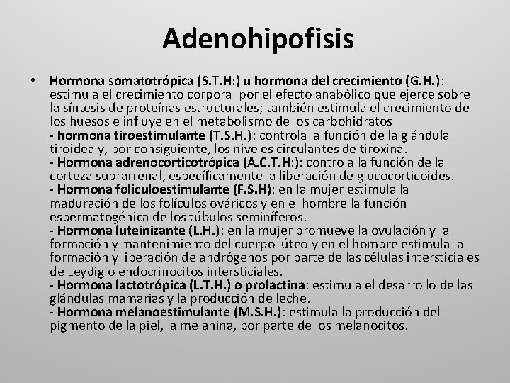  Adenohipofisis • Hormona somatotrópica (S. T. H: ) u hormona del crecimiento (G.