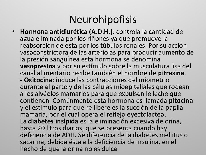 Neurohipofisis • Hormona antidiurética (A. D. H. ): controla la cantidad de agua eliminada