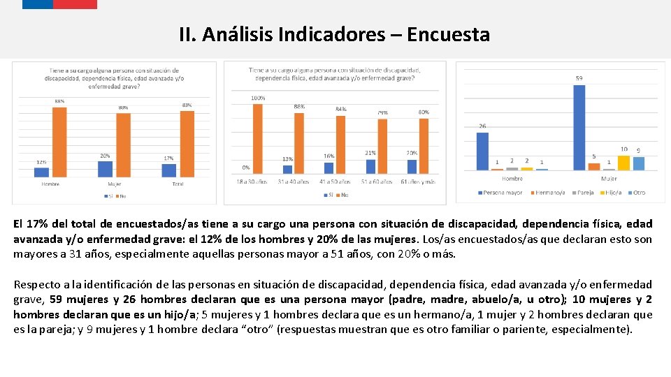 II. Análisis Indicadores – Encuesta El 17% del total de encuestados/as tiene a su