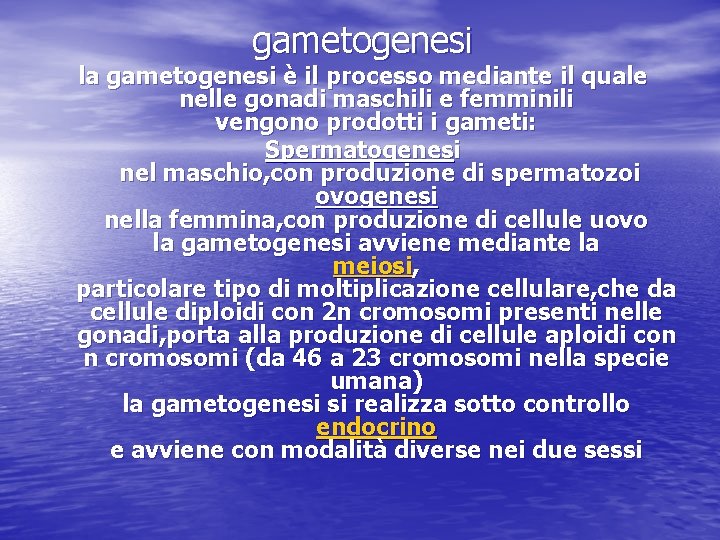 gametogenesi la gametogenesi è il processo mediante il quale nelle gonadi maschili e femminili