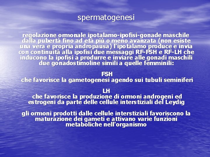 spermatogenesi regolazione ormonale ipotalamo-ipofisi-gonade maschile dalla pubertà fino ad età più o meno avanzata