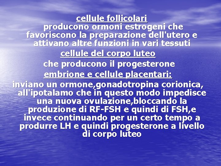 cellule follicolari producono ormoni estrogeni che favoriscono la preparazione dell'utero e attivano altre funzioni