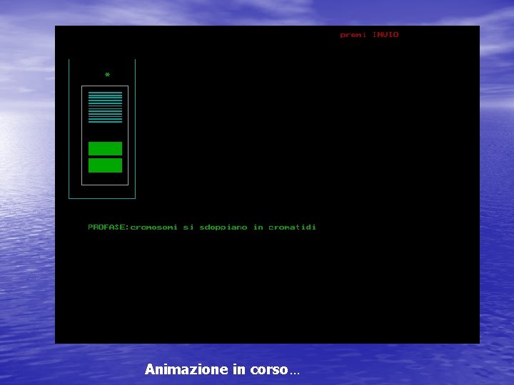 Animazione in corso… 