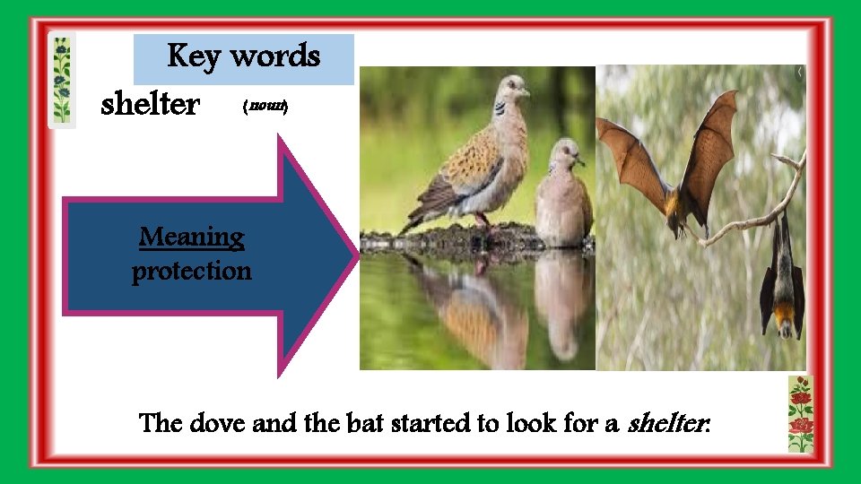 Key words shelter (noun) Meaning protection The dove and the bat started to look