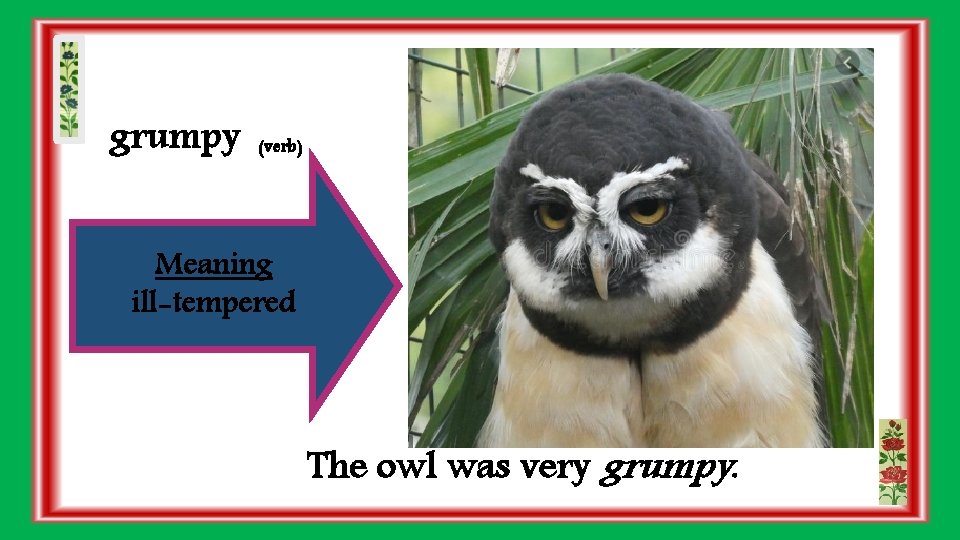 grumpy (verb) Meaning ill-tempered The owl was very grumpy. 