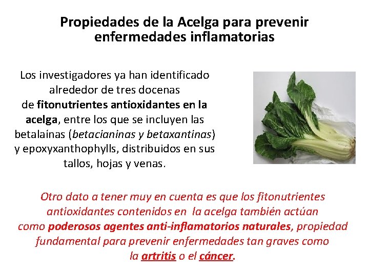 Propiedades de la Acelga para prevenir enfermedades inflamatorias Los investigadores ya han identificado alrededor