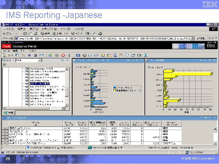 IMS Reporting -Japanese 25 © 2006 IBM Corporation 