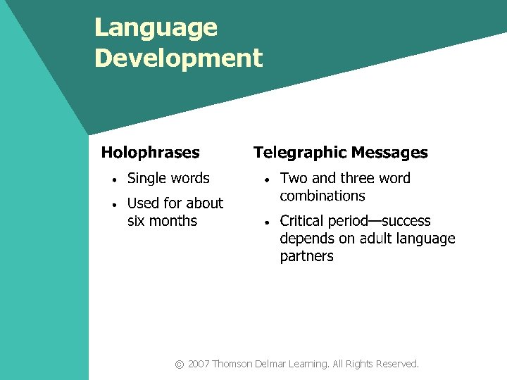 Language Development © 2007 Thomson Delmar Learning. All Rights Reserved. 