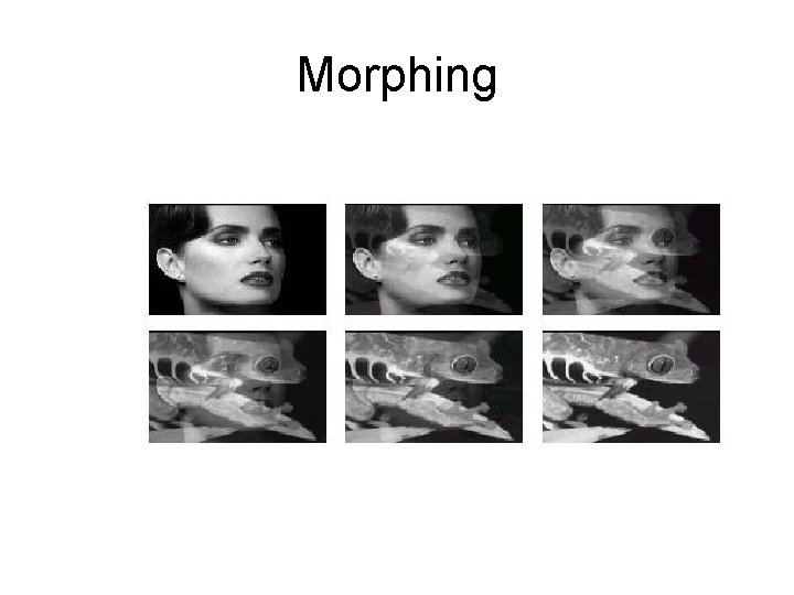 Morphing 