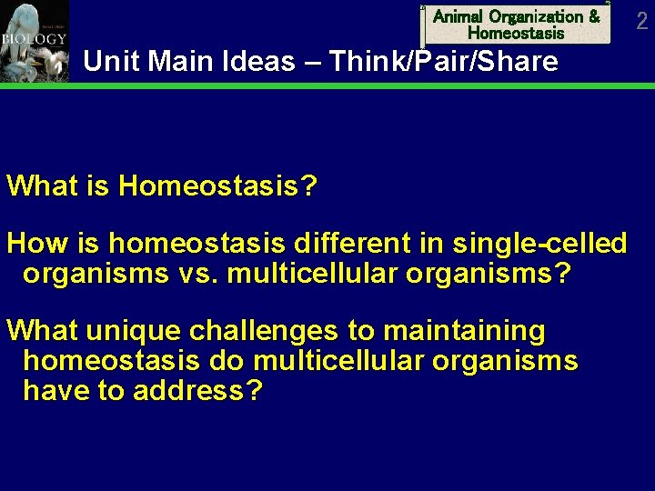 Animal Organization & Homeostasis Unit Main Ideas – Think/Pair/Share What is Homeostasis? How is