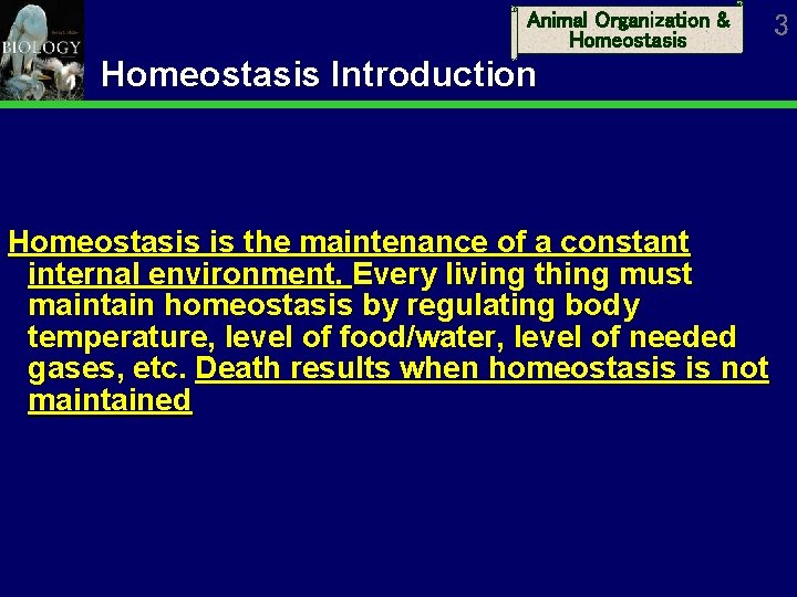 Animal Organization & Homeostasis Introduction Homeostasis is the maintenance of a constant internal environment.