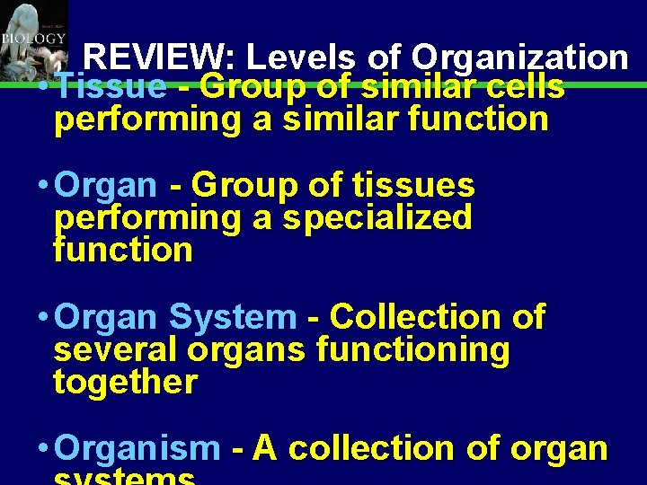 Animal Organization & Homeostasis 6 REVIEW: Levels of Organization • Tissue - Group of