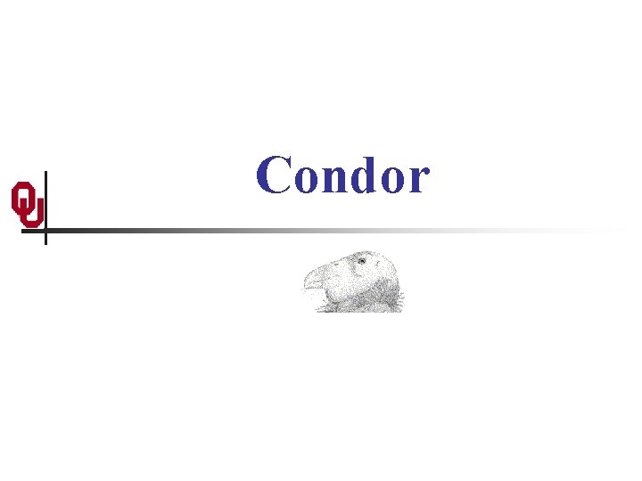 Condor 