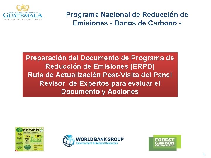 Programa Nacional de Reducción de Emisiones - Bonos de Carbono - Preparación del Documento