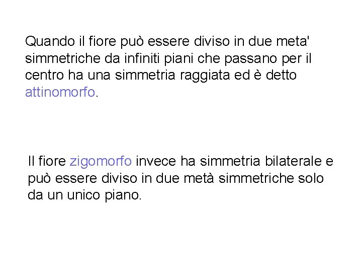 Quando il fiore può essere diviso in due meta' simmetriche da infiniti piani che