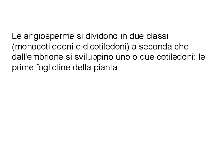 Le angiosperme si dividono in due classi (monocotiledoni e dicotiledoni) a seconda che dall'embrione