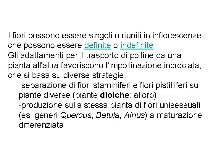 I fiori possono essere singoli o riuniti in infiorescenze che possono essere definite o