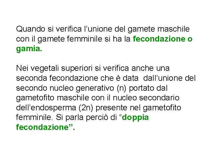 Quando si verifica l’unione del gamete maschile con il gamete femminile si ha la