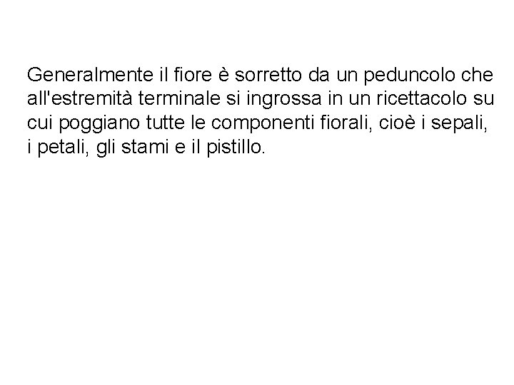 Generalmente il fiore è sorretto da un peduncolo che all'estremità terminale si ingrossa in