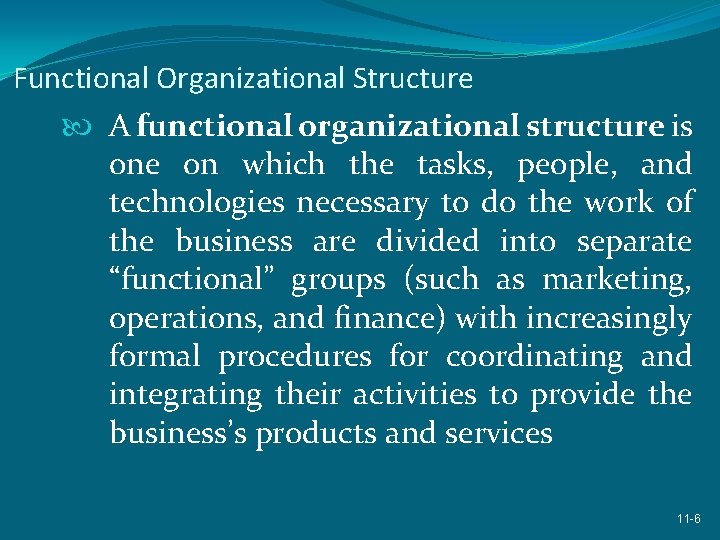 Functional Organizational Structure A functional organizational structure is one on which the tasks, people,