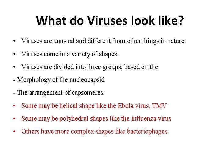 What do Viruses look like? • Viruses are unusual and different from other things