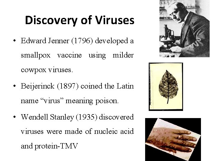 Discovery of Viruses • Edward Jenner (1796) developed a smallpox vaccine using milder cowpox