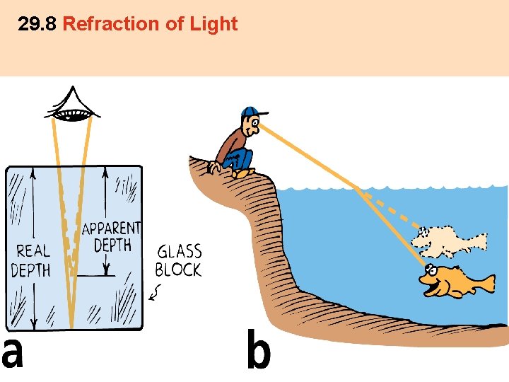 29. 8 Refraction of Light 