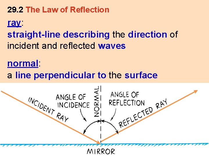 29. 2 The Law of Reflection ray: straight-line describing the direction of incident and