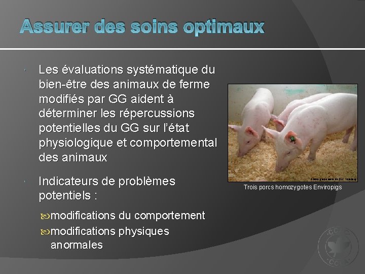 Assurer des soins optimaux Les évaluations systématique du bien-être des animaux de ferme modifiés