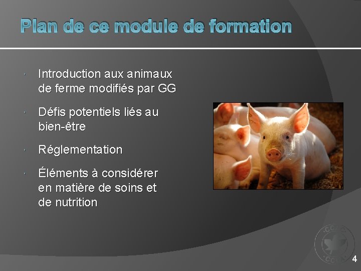 Plan de ce module de formation Introduction aux animaux de ferme modifiés par GG